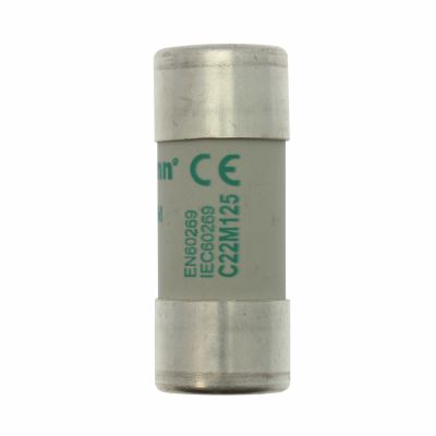 Eaton Bussmann Inc. C22M125