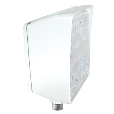 RAB Lighting PIP30W/D10