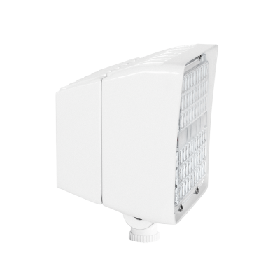 RAB Lighting PIP45W/D10
