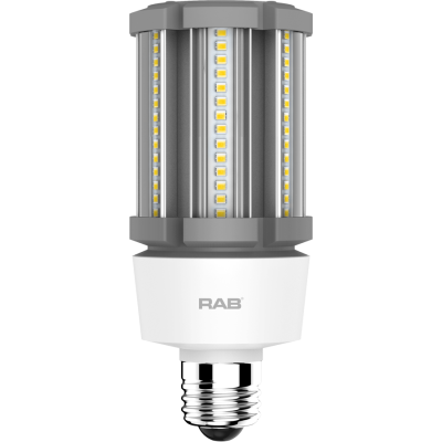 RAB Lighting HID-18-E26-850-BYP-PT