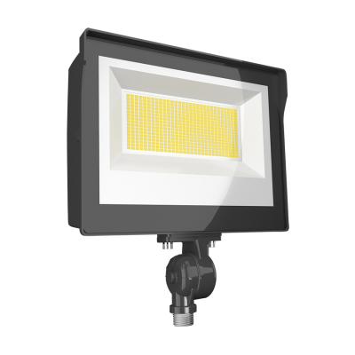 RAB Lighting X17XFU60