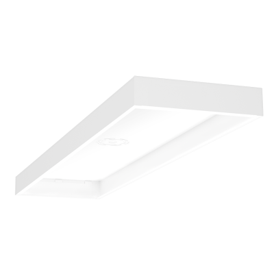 RAB Lighting SMKEZPAN1X4