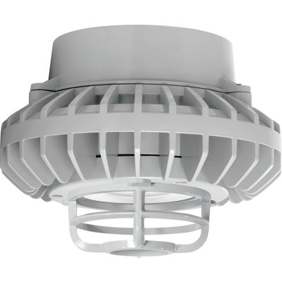 RAB Lighting HAZPLED80CF-DG
