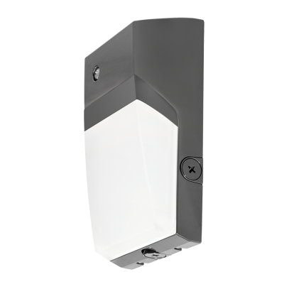 RAB Lighting WPTLED40N/D10/PC2