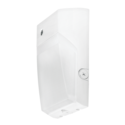 RAB Lighting WPTLED25YW/D10/PC2