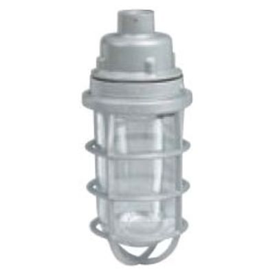 Hubbell Killark VUAGG-2-100