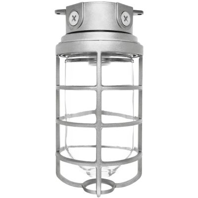 RAB Lighting VX200DG