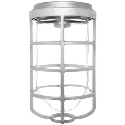 RAB Lighting VC200DG