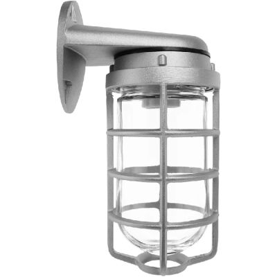 RAB Lighting VBR100DG