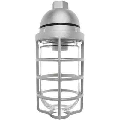 RAB Lighting VP100DG