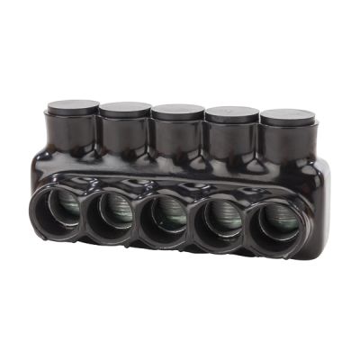 NSI IPL500-5