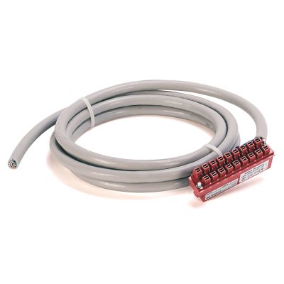 Rockwell Automation 1492-CABLE010RTBR
