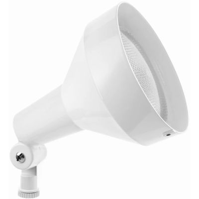 RAB Lighting H101W