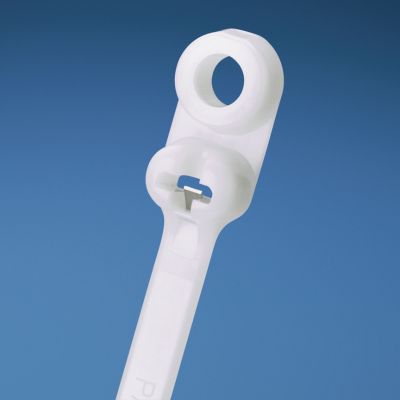 Panduit BC2S-S10-C