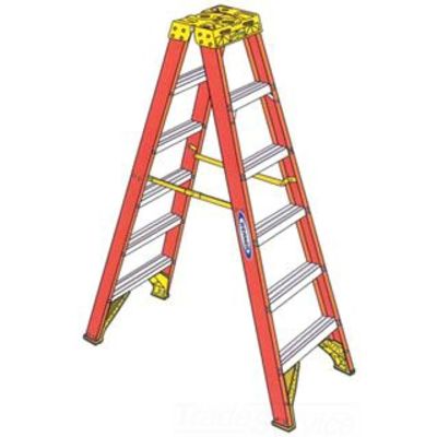 Werner Ladder T6206