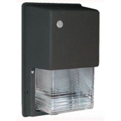RAB Lighting WPTGHH50/PC