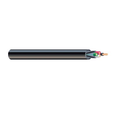 Coleman 55809106