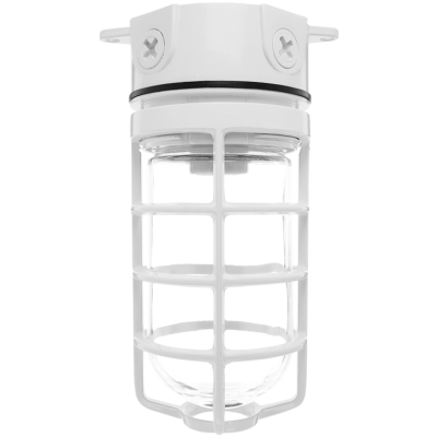 RAB Lighting VX100DGW