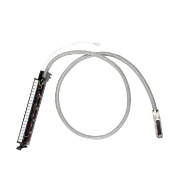 Rockwell Automation 1492-ACABLE080E