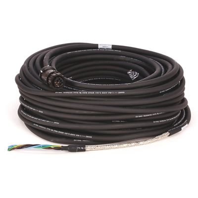 Rockwell Automation 2090-CPWM6DF-16AA30