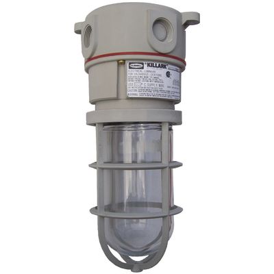 Hubbell Killark NV2IG15XSG