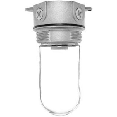 RAB Lighting VX100W
