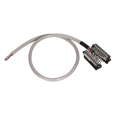 Rockwell Automation 1492-CAB010RTN32O