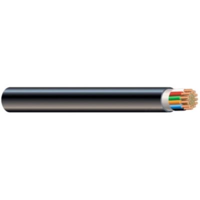 Coleman 55815006