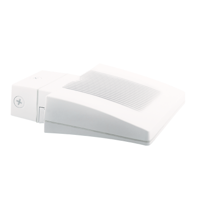 RAB Lighting WPLED26W