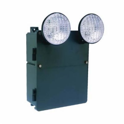 Hubbell Lighting N4X14-12VI