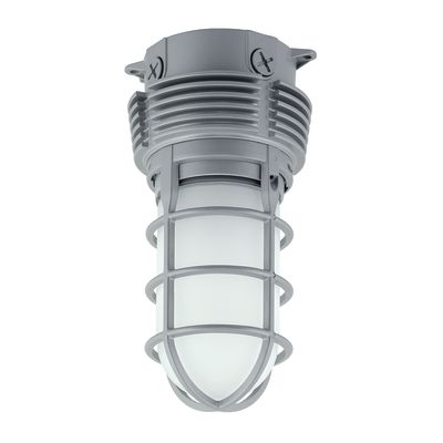 Hubbell Lighting VWGL-1