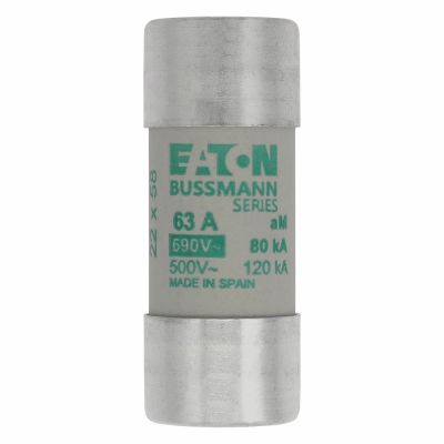 Eaton Bussmann Inc. C22M63