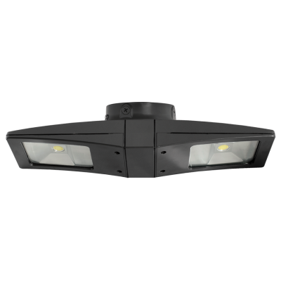 RAB Lighting CLED2X10BB/PCS