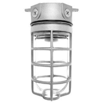 RAB Lighting VX100DGS