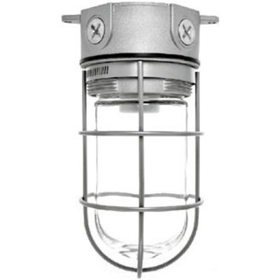 RAB Lighting VX100GW