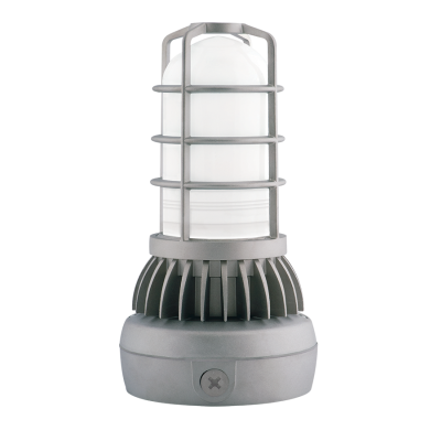 RAB Lighting VXLED26DG/UP