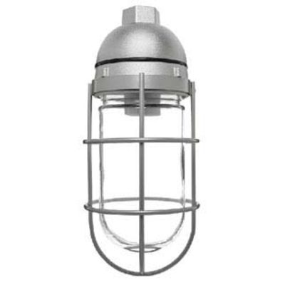 RAB Lighting VP100G