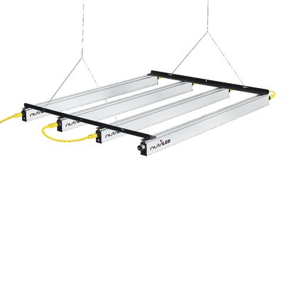 Hubbell Lighting NGL12