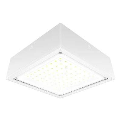 RAB Lighting VANLED10FW