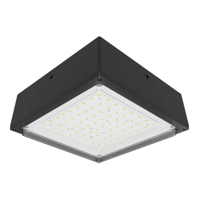 RAB Lighting VANLED10N