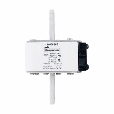 Eaton Bussmann Inc. 170M6666