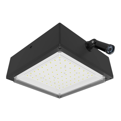 RAB Lighting VANLED20/PCS