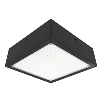 RAB Lighting VANLED20F