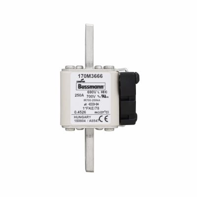 Eaton Bussmann Inc. 170M3666