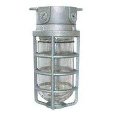 RAB Lighting VLX1