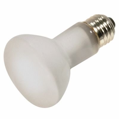 Satco S4886