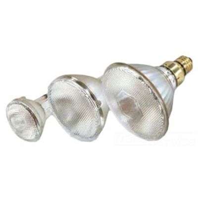 Satco S4889