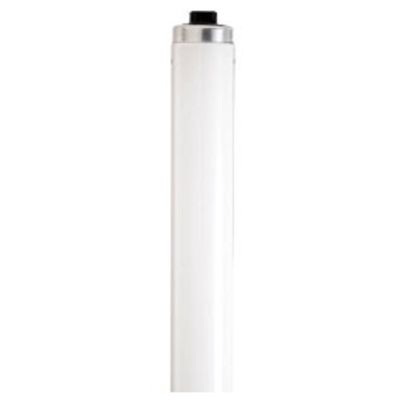 Satco S5255