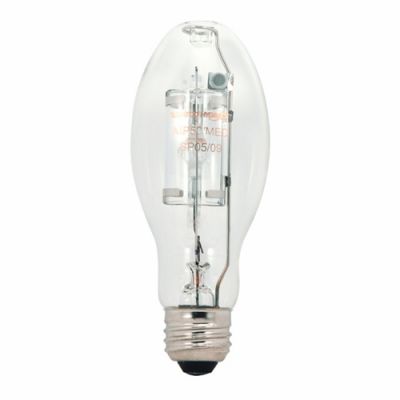Satco S5854