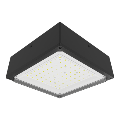 RAB Lighting VANLED40N